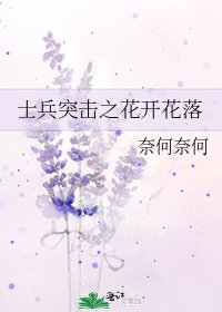 士兵突擊之花開花落