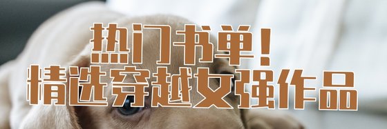 热门书单！精选穿越女强作品